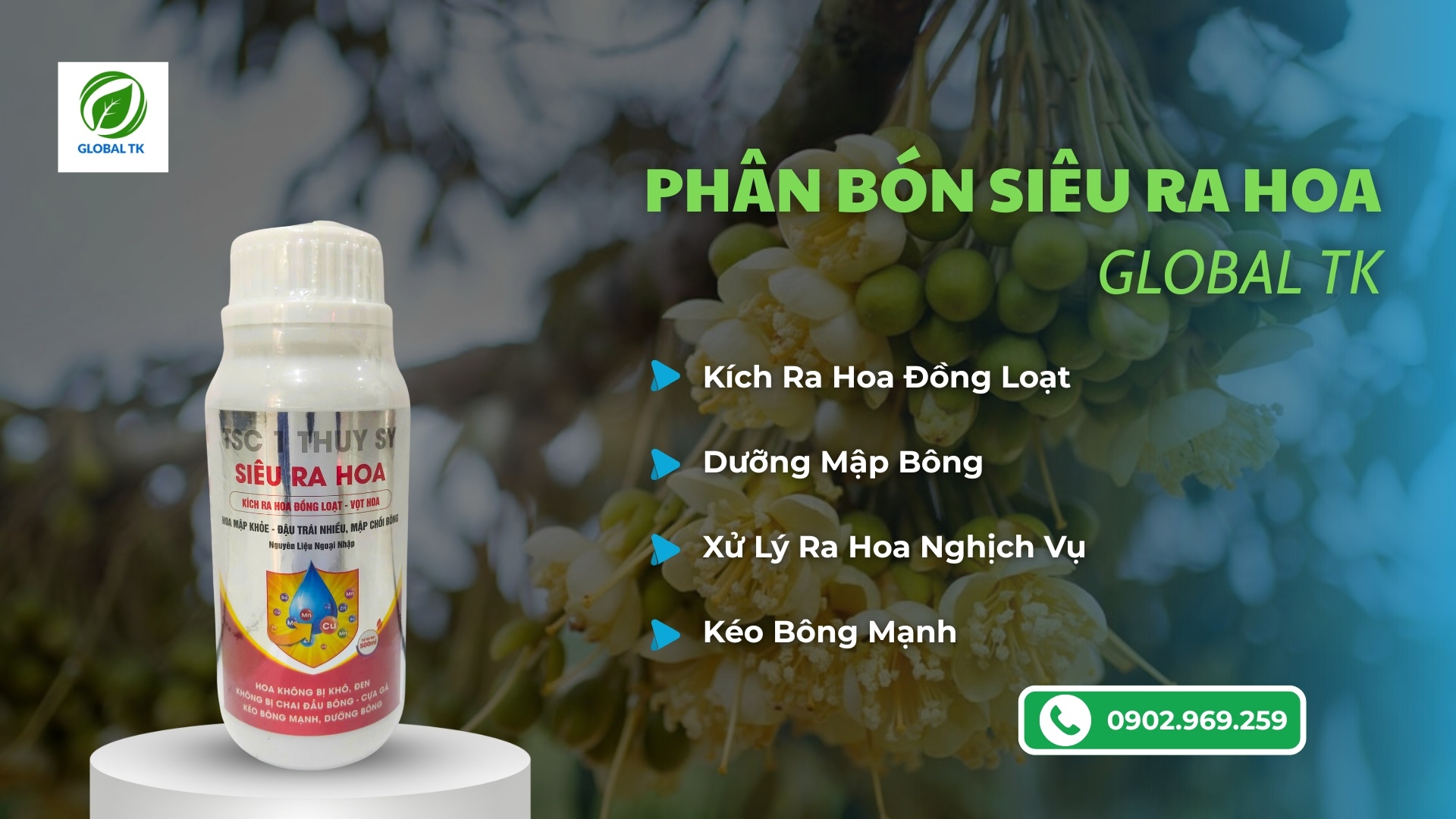 Phân Bón SIÊU RA HOA Global TK - Ra Hoa Đồng Loạt, Mập Bông