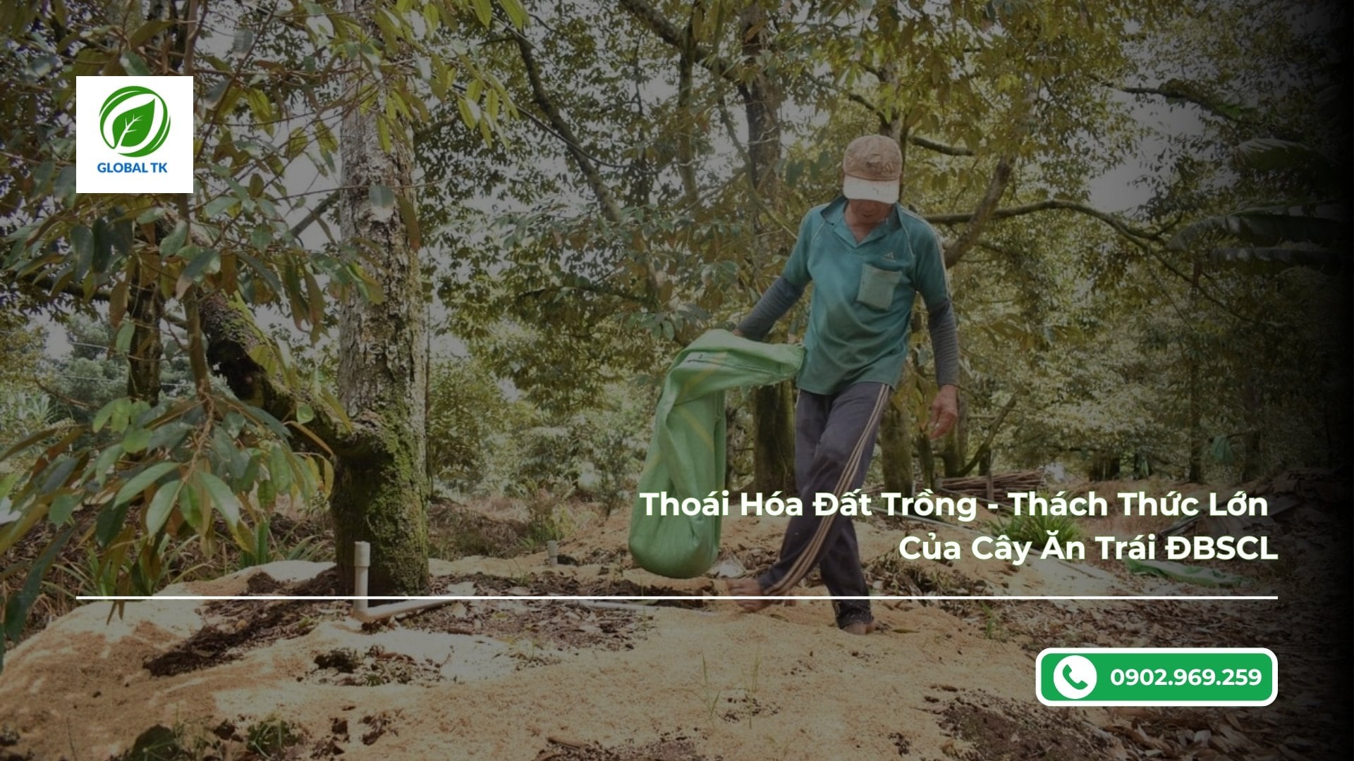 Thoái Hóa Đất Trồng - Thách Thức Lớn Của Cây Ăn Trái ĐBSCL