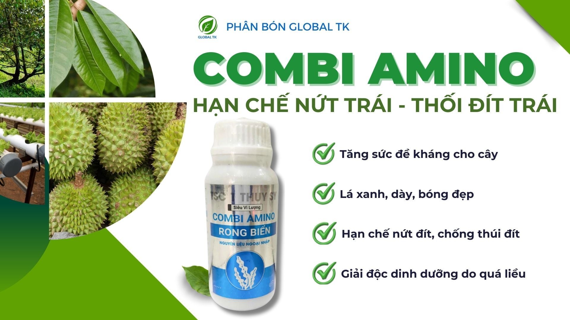 Phân Bón COMBI AMINO Rong Biển Global TK - Tăng Sức Đề Kháng, Hạn Chế Nứt Trái