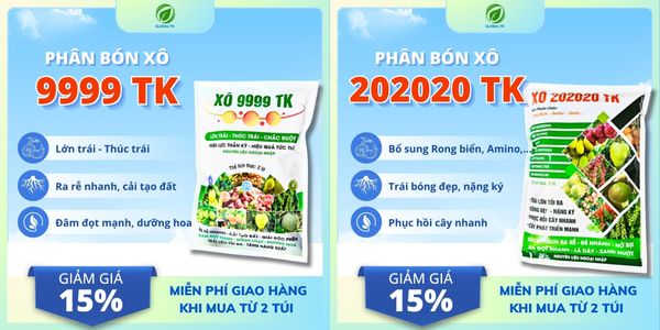 Ưu Đãi Đặc Biệt: Túi xô TK9999 & Túi xô 20-20-20 TK – Thúc Trái Lớn Nhanh, Bóng Đẹp