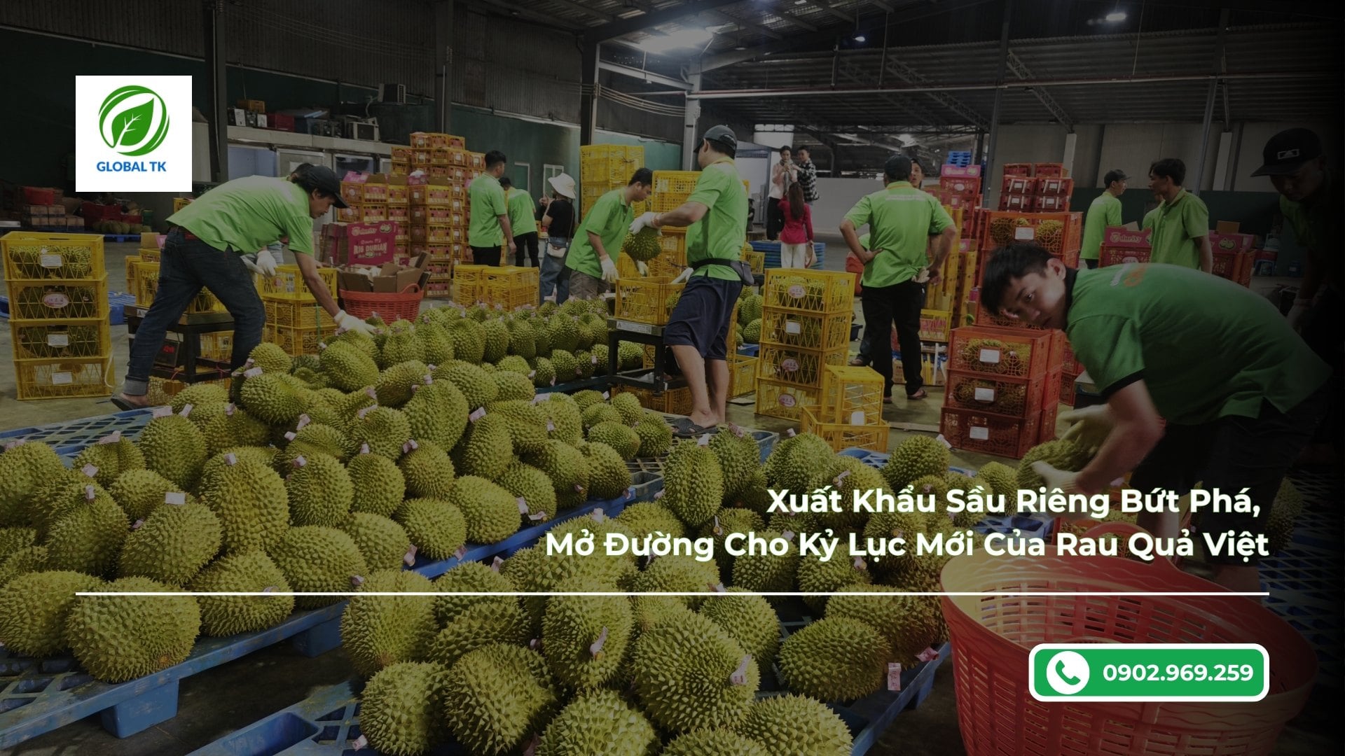 Xuất Khẩu Sầu Riêng Bứt Phá Và Kỷ Lục Mới Của Rau Quả Việt
