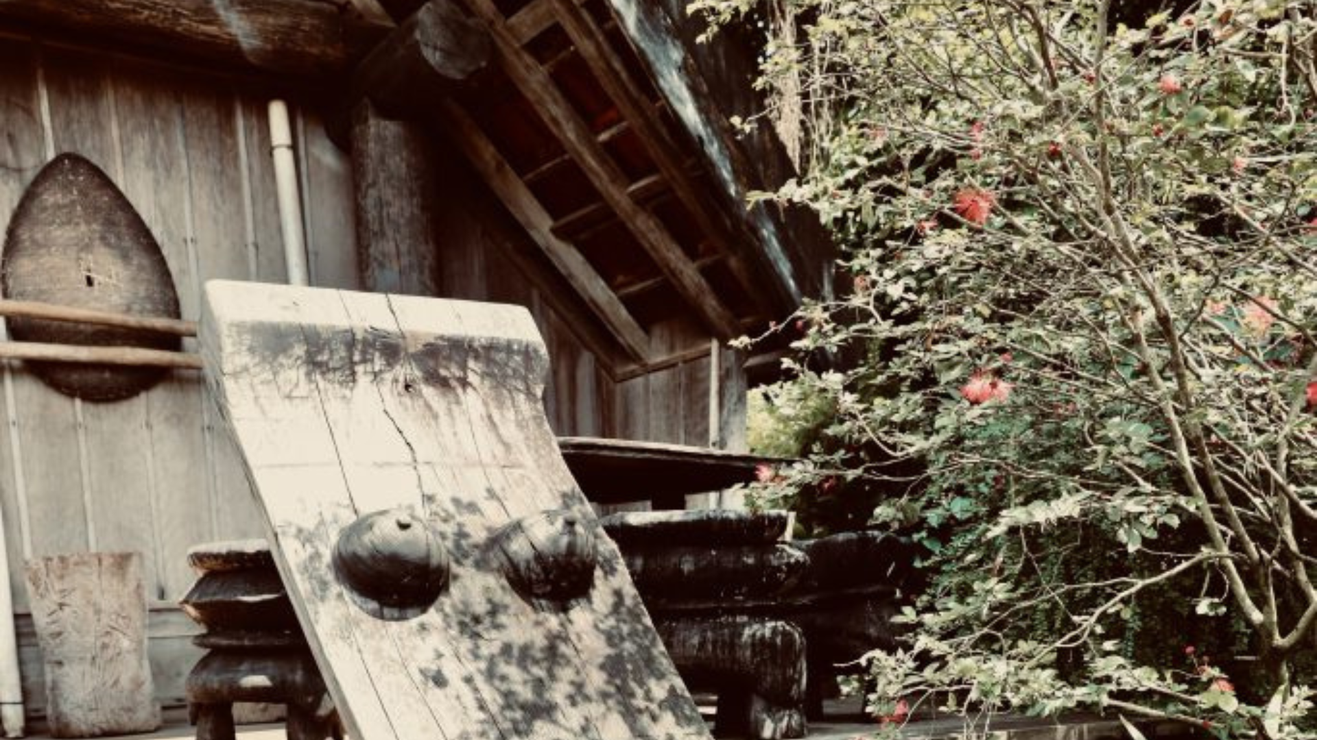 His Majesty King Willem - Alexander and Her Majesty Queen - Máxima's State Visit to Vietnam