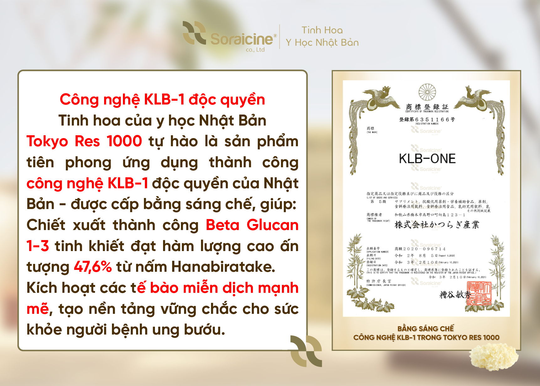 Bằng sáng chế Beta Glucan 1-3 và Công nghệ KLB-1: Thành tựu miễn dịch Nhật Bản từ nấm Hanabiratake