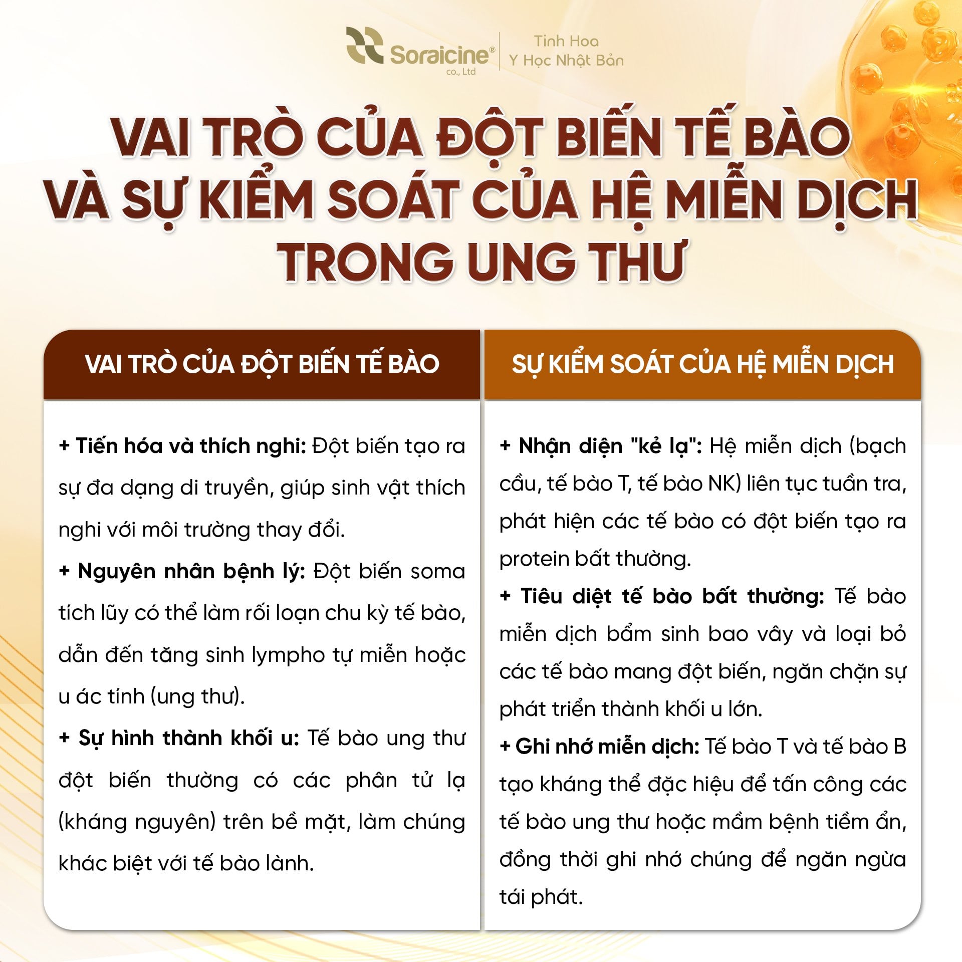 Khi nào tuyệt đối không được bỏ phác đồ điều trị ung thư chính thống?