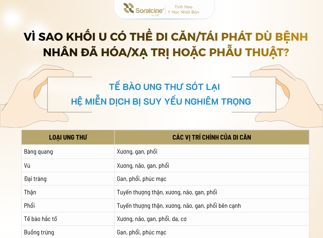 3 bước để người bệnh ung thư có một cái Tết “không đau”