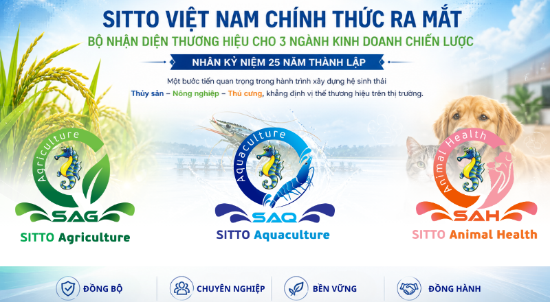 SITTO VIỆT NAM CHÍNH THỨC RA MẮT BỘ NHẬN DIỆN THƯƠNG HIỆU CHO 3 NGÀNH KINH DOANH CHIẾN LƯỢC NHÂN KỶ NIỆM 25 NĂM THÀNH LẬP