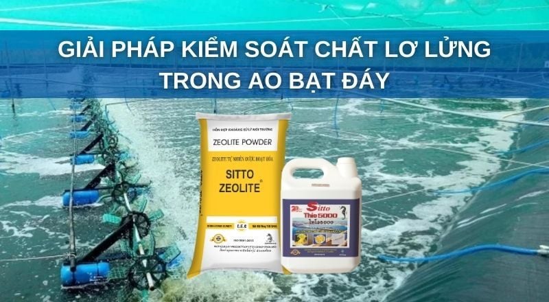 GIẢI PHÁP KIỂM SOÁT CHẤT LƠ LỬNG TRONG AO NUÔI BẠT ĐÁY