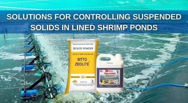 SOLUTIONS FOR CONTROLLING SUSPENDED SOLIDS IN LINED SHRIMP PONDS