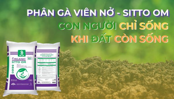 PHÂN HỮU CƠ SITTO OM - CON NGƯỜI CHỈ SỐNG KHI ĐẤT CÒN SỐNG