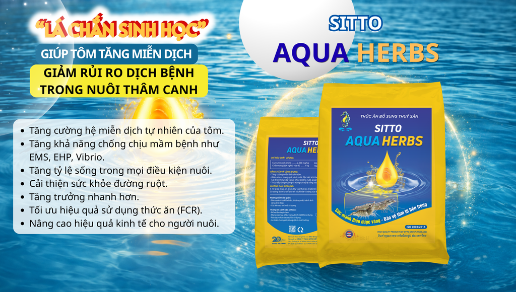 SITTO AQUA HERBS: “LÁ CHẮN SINH HỌC” GIÚP TÔM TĂNG MIỄN DỊCH, GIẢM RỦI RO DỊCH BỆNH TRONG NUÔI THÂM CANH