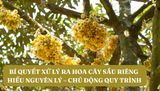 BÍ QUYẾT XỬ LÝ RA HOA CÂY SẦU RIÊNG | HIỂU NGUYÊN LÝ – CHỦ ĐỘNG QUY TRÌNH