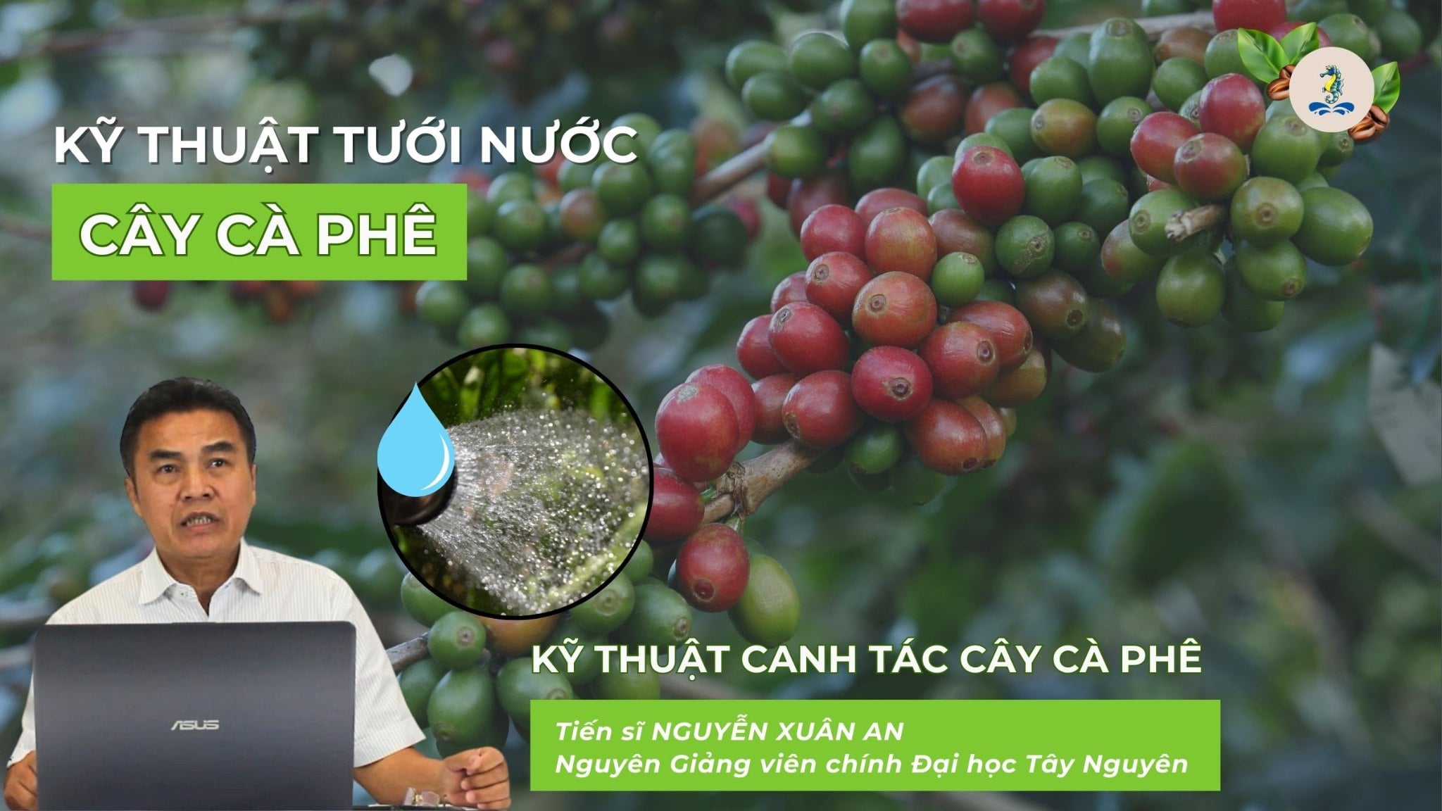 KỸ THUẬT CANH TÁC CÂY CÀ PHÊ - KỸ THUẬT TƯỚI NƯỚC CÂY CÀ PHÊ