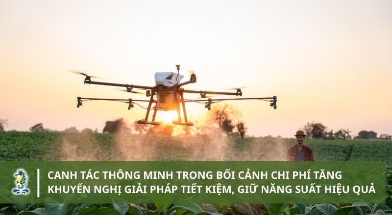CANH TÁC THÔNG MINH TRONG BỐI CẢNH CHI PHÍ TĂNG – KHUYẾN NGHỊ GIẢI PHÁP TIẾT KIỆM, GIỮ NĂNG SUẤT HIỆU QUẢ