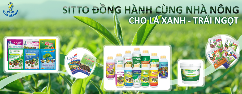 SITTO VIỆT NAM: HÀNH TRÌNH 25 NĂM ĐỒNG HÀNH CÙNG NHÀ NÔNG, NGƯỜI NUÔI TÔM VÀ CỘNG ĐỒNG YÊU THÚ CƯNG