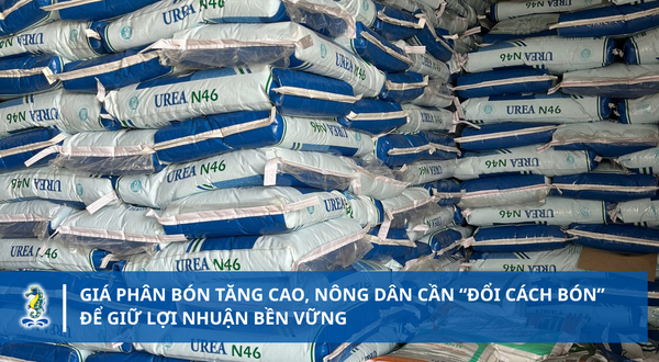 GIÁ PHÂN BÓN TĂNG CAO, NÔNG DÂN CẦN “ĐỔI CÁCH BÓN” ĐỂ GIỮ LỢI NHUẬN BỀN VỮNG