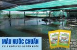 SITTO AQUA TONE – GIẢI PHÁP “MÀU NƯỚC CHUẨN” CHO AO TÔM KHỎE