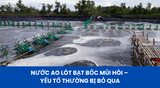 NƯỚC AO LÓT BẠT BỐC MÙI HÔI – YẾU TỐ THƯỜNG BỊ BỎ QUA
