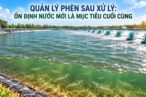 PHẦN 5: QUẢN LÝ PHÈN SAU XỬ LÝ - ỔN ĐỊNH NƯỚC MỚI LÀ MỤC TIÊU CUỐI CÙNG
