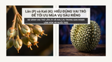 So sánh vai trò Lân (P) và Kali (K) trong giai đoạn làm hoa và nuôi trái