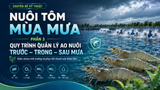 QUY TRÌNH QUẢN LÝ AO NUÔI TRƯỚC – TRONG – SAU MƯA: GIẢM STRESS MÔI TRƯỜNG VÀ PHỤC HỒI NHANH SỨC KHỎE TÔM