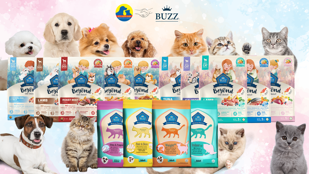 BUZZ DRY PET FOOD – SUPERIOR HEALTH FOR PETS, A BETTER QUALITY OF LIFE