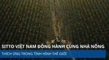 SITTO VIỆT NAM ĐỒNG HÀNH CÙNG NHÀ NÔNG - THÍCH ỨNG TRONG TÌNH HÌNH THẾ GIỚI