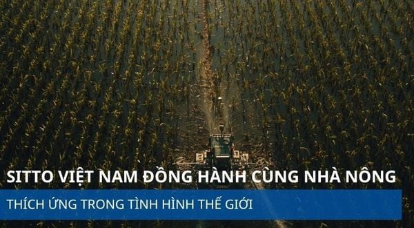 SITTO VIỆT NAM ĐỒNG HÀNH CÙNG NHÀ NÔNG - THÍCH ỨNG TRONG TÌNH HÌNH THẾ GIỚI