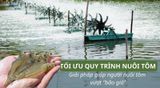 TỐI ƯU QUY TRÌNH - GIẢI PHÁP GIÚP NGƯỜI NUÔI TÔM VƯỢT “BÃO GIÁ”