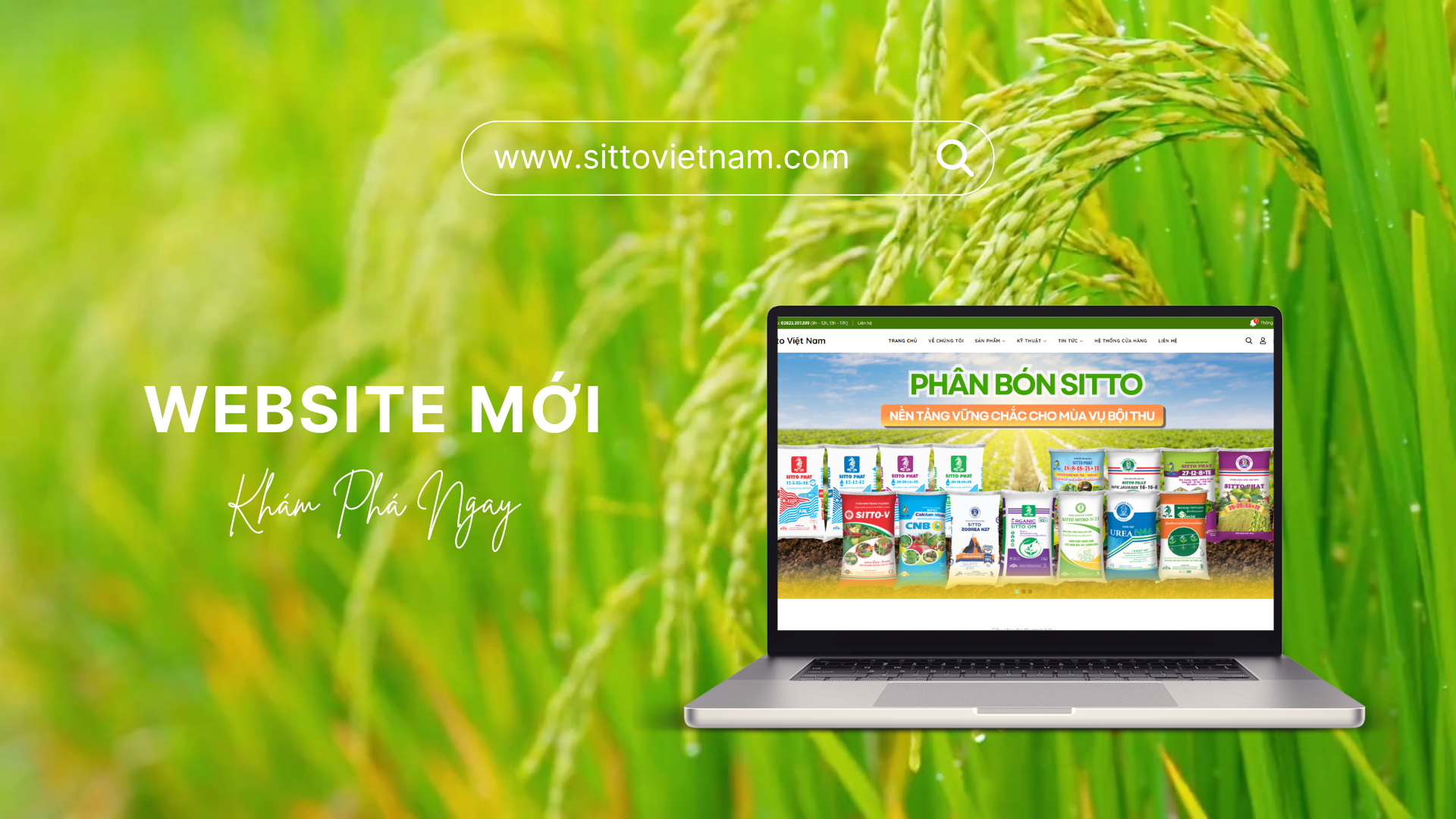 SITTO VIỆT NAM RA MẮT WEBSITE MỚI – GIAO DIỆN HIỆN ĐẠI, TRẢI NGHIỆM TẬN TÂM, THỂ HIỆN SỰ UY TÍN VÀ CHUYÊN NGHIỆP