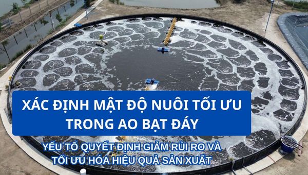 DETERMINING THE OPTIMAL STOCKING DENSITY IN LINER PONDS: A CRITICAL FACTOR FOR REDUCING RISKS & MAXIMIZING PRODUCTION EFFICIENCY