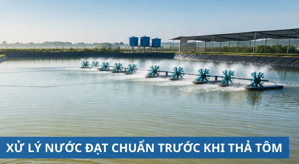 XỬ LÝ NƯỚC ĐẠT CHUẨN TRƯỚC KHI THẢ TÔM