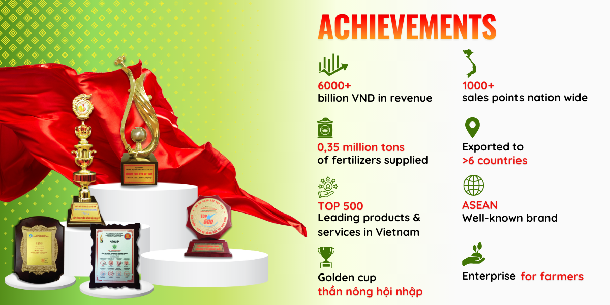 Sitto Sitto Việt Nam