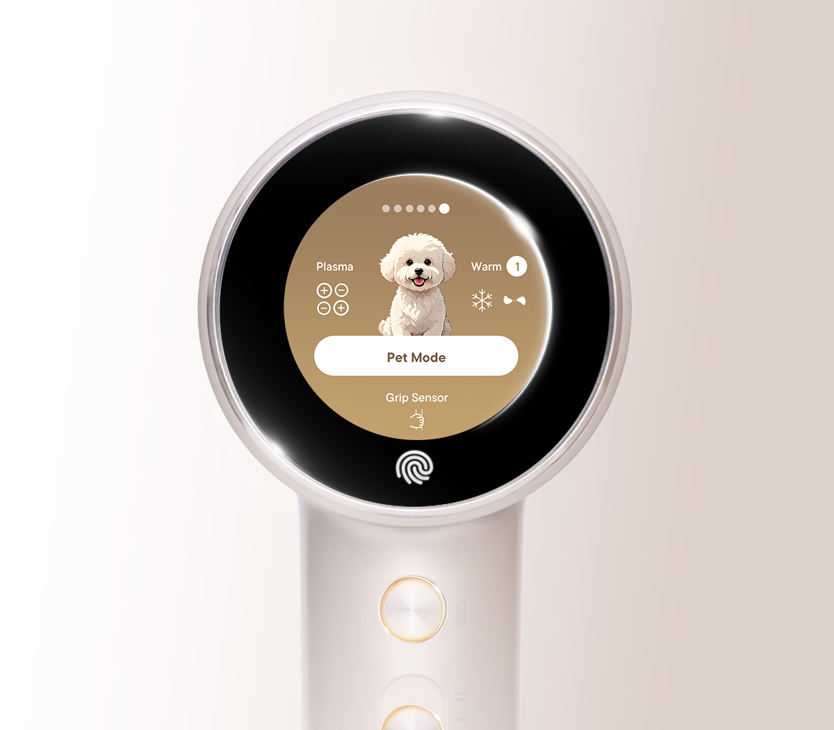 Chế độ thú cưng 