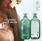 Tóc đẹp bắt đầu từ da đầu khỏe mạnh