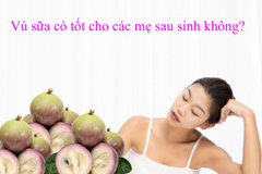 | Góc dinh dưỡng | Vú sữa có tốt cho mẹ sau sinh không?