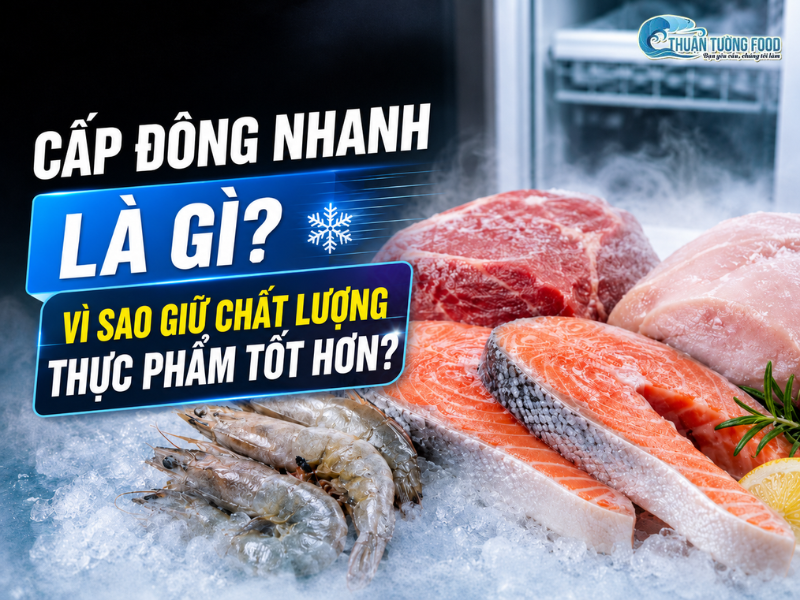 Cấp đông nhanh là gì? Vì sao giữ chất lượng thực phẩm tốt hơn?