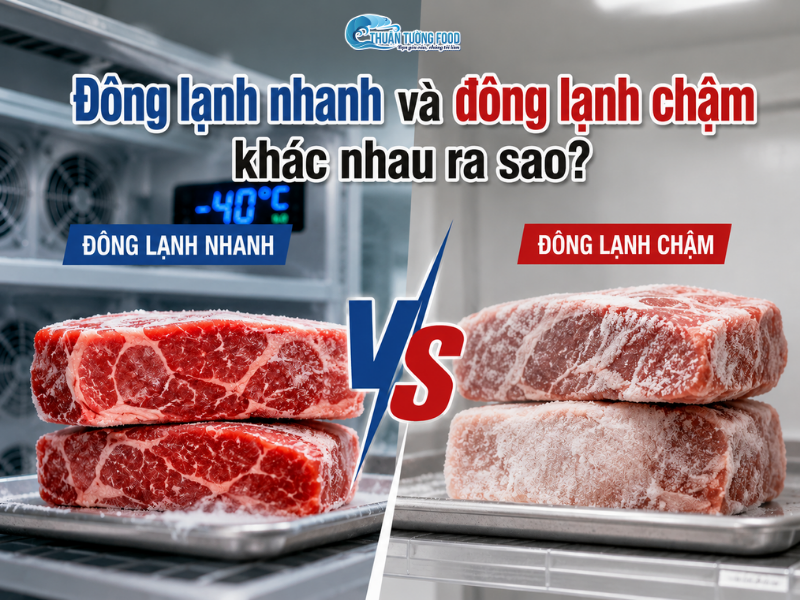 Đông lạnh nhanh và đông lạnh chậm khác nhau ra sao?