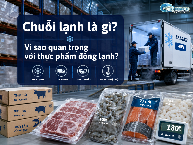 Chuỗi lạnh là gì? Vì sao quan trọng với thực phẩm đông lạnh?