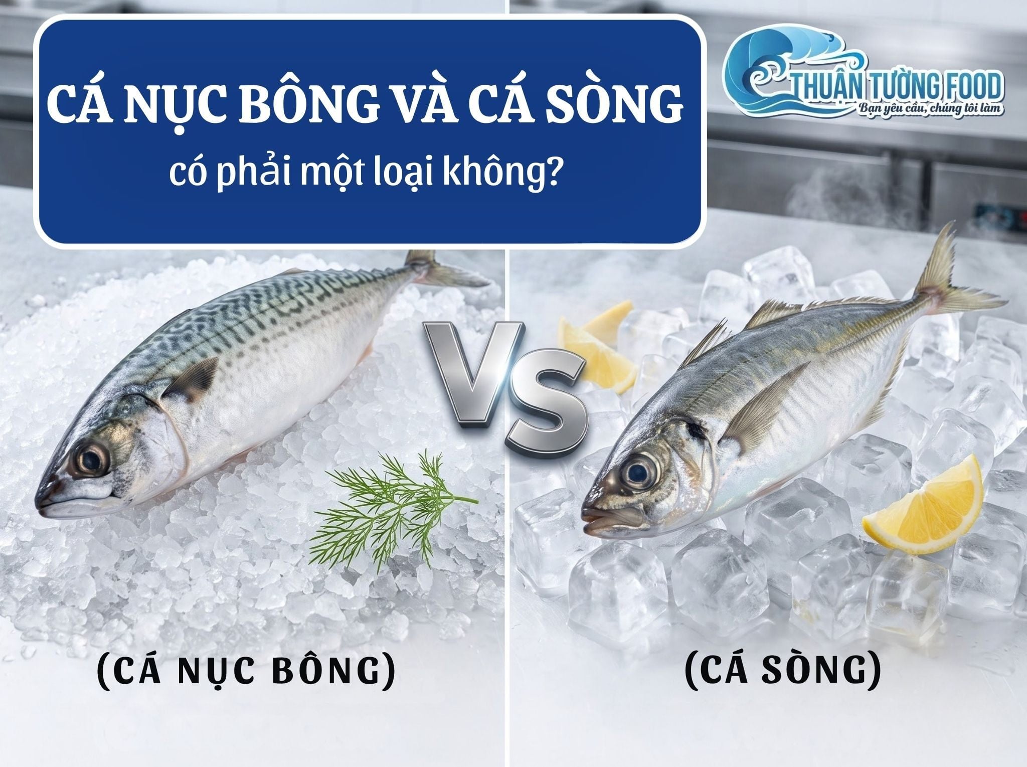Cá Nục Bông Và Cá Sòng Có Phải Một Loại Không?