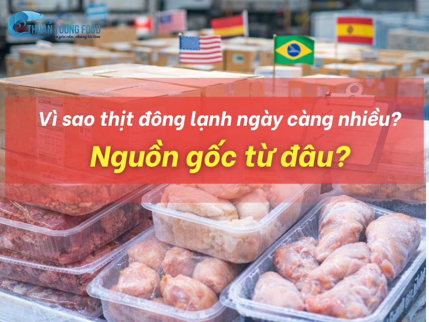 Vì sao thịt đông lạnh ngày càng nhiều? Nguồn gốc từ đâu?