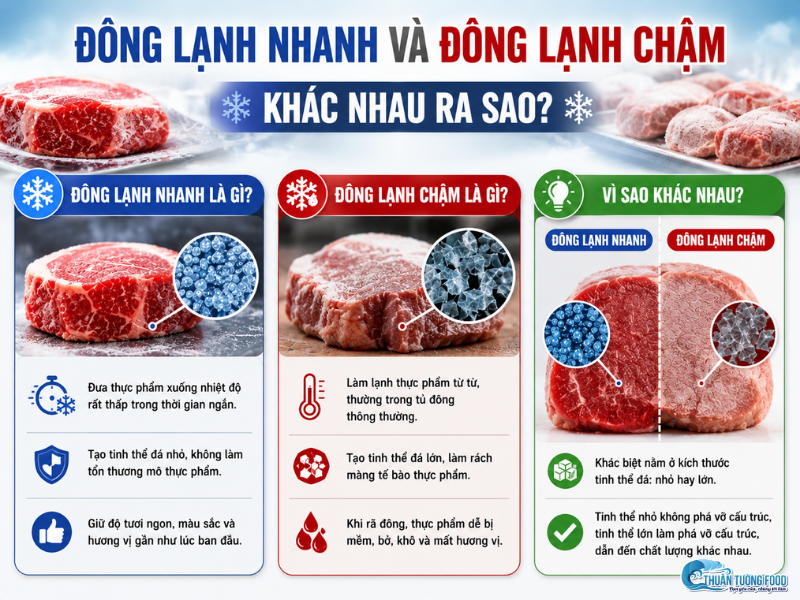thuan-tuong-food-dong-lanh-nhanh-va-dong-lanh-cham-khac-nhau-ra-sao