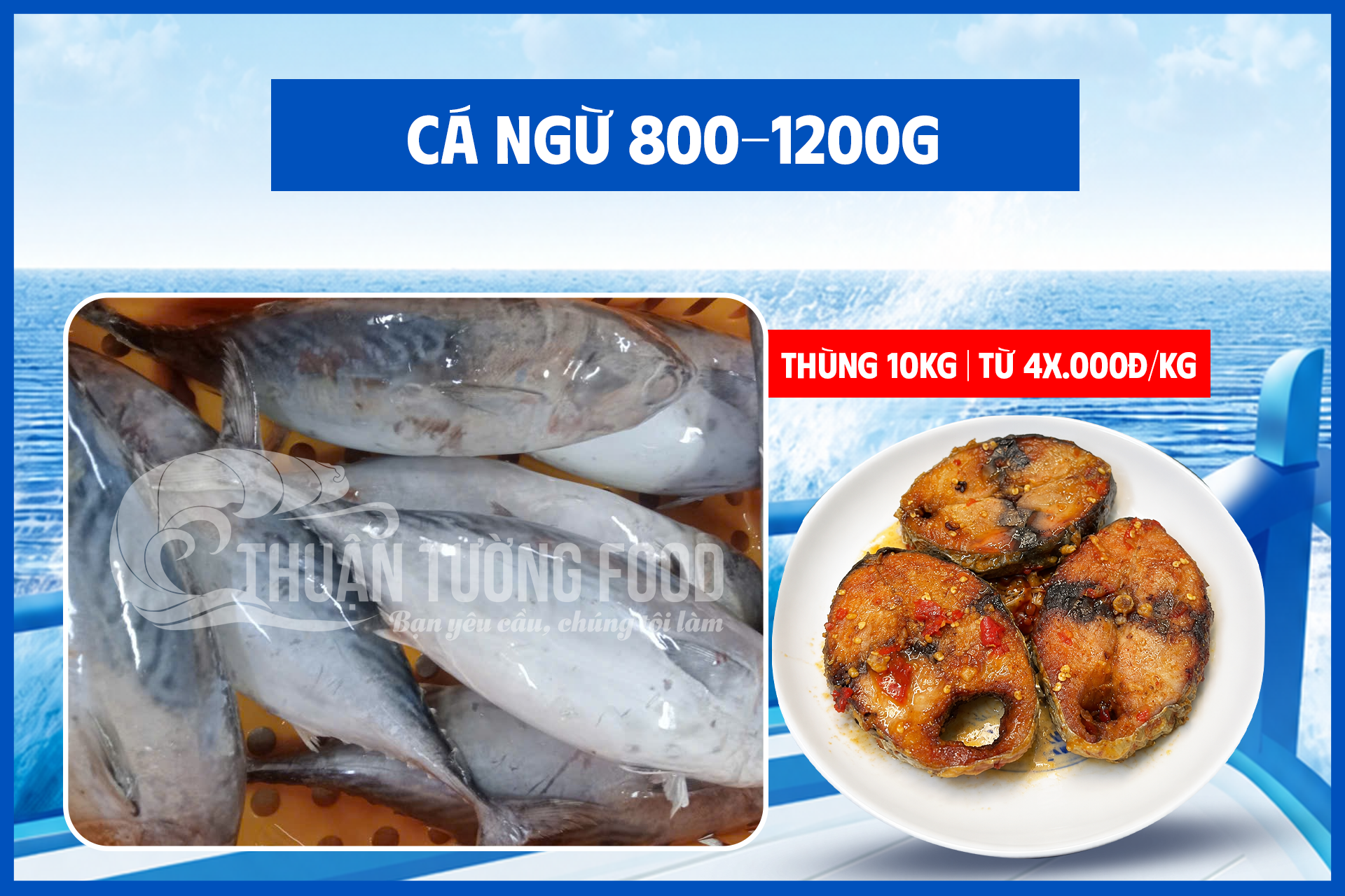 thuan-tuong-food-ca-ngu-size-800-1200g-moi-con