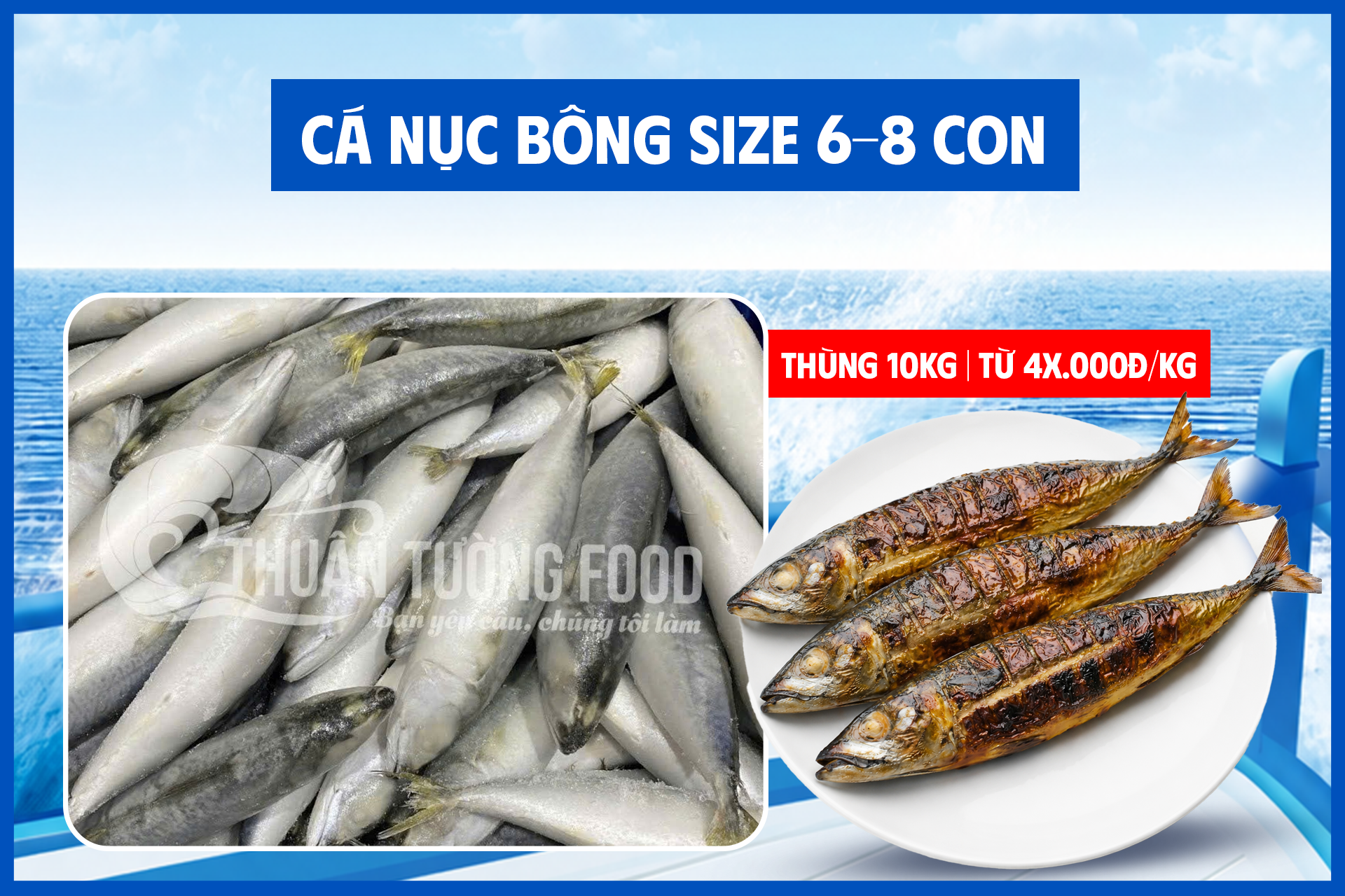 thuan-tuong-food-ca-nuc-bong-saba-size-6-8-con