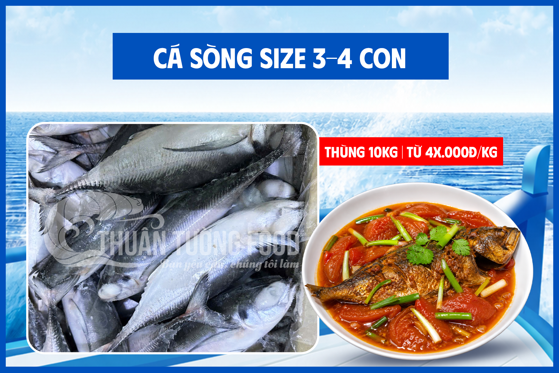 thuan-tuong-food-ca-song-size-3-4-con