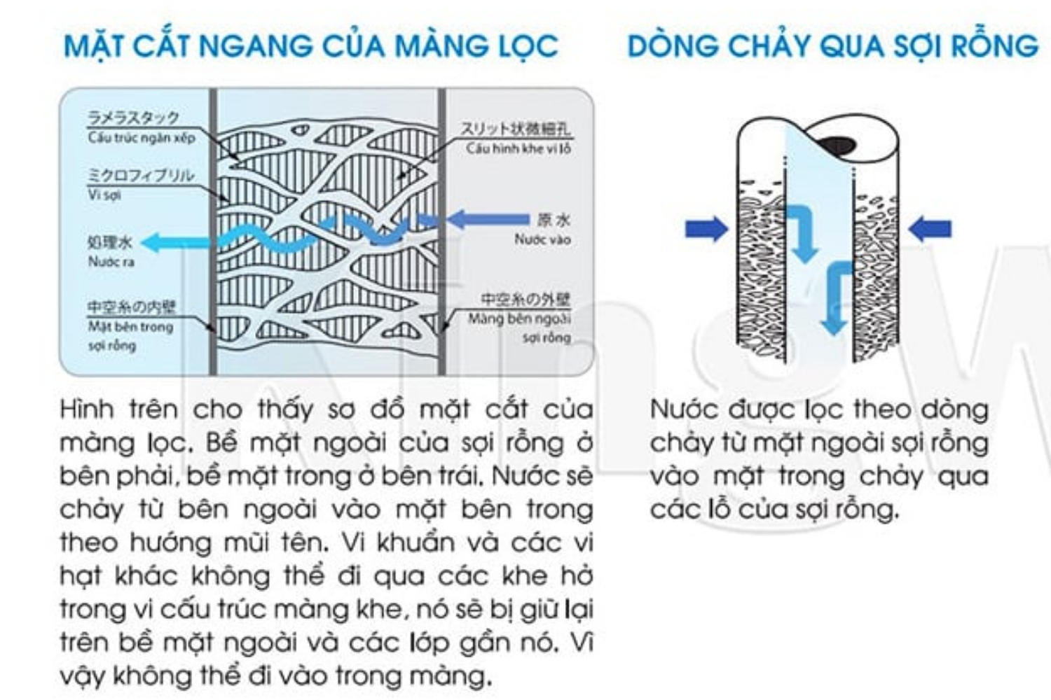 Máy lọc Cleansui MP02-4 sở hữu công nghệ màng lọc sợi rỗng tiên tiến
