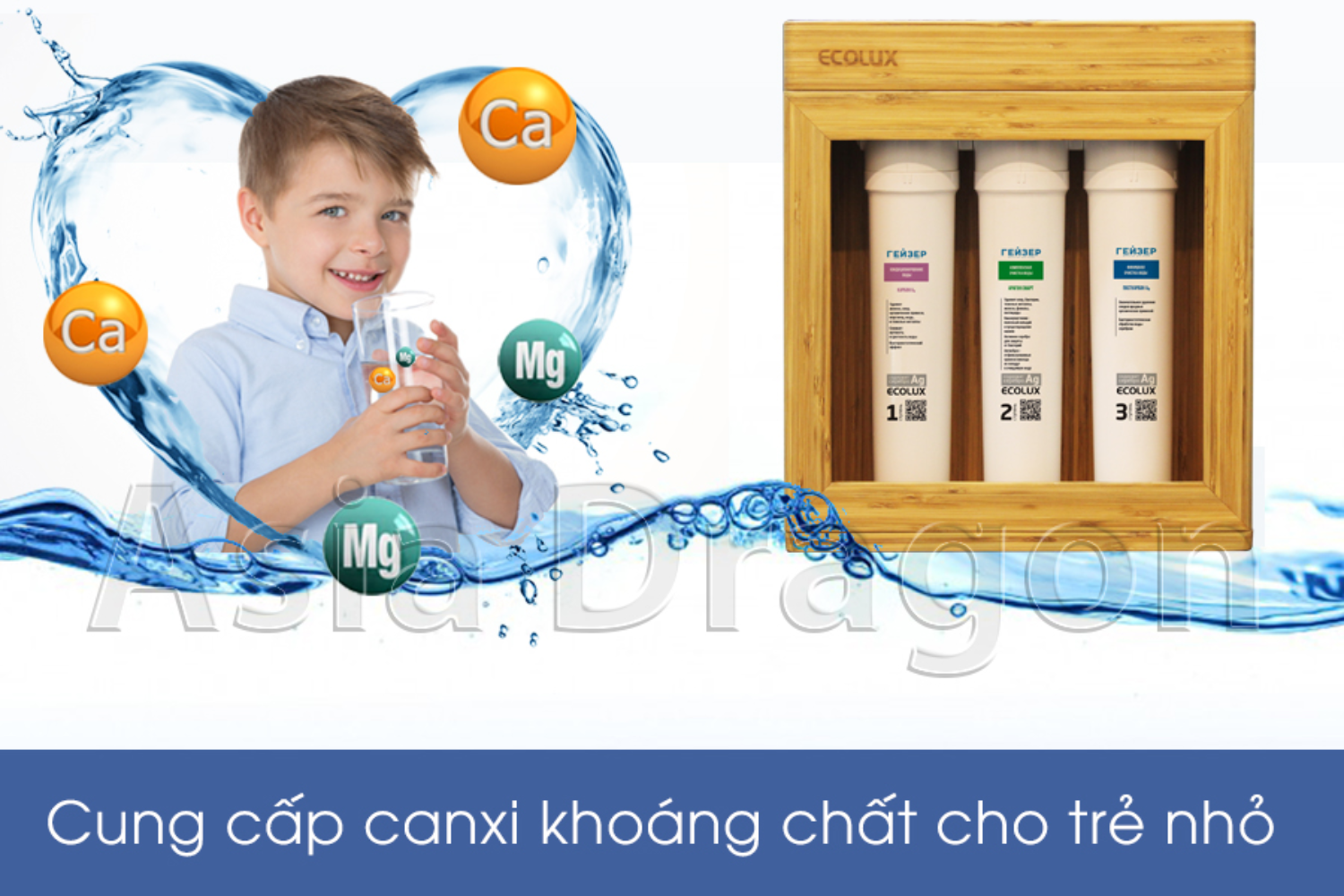 Ecolux có thể chuyển hóa cấu trúc canxi vừa giúp tăng cường khoáng chất