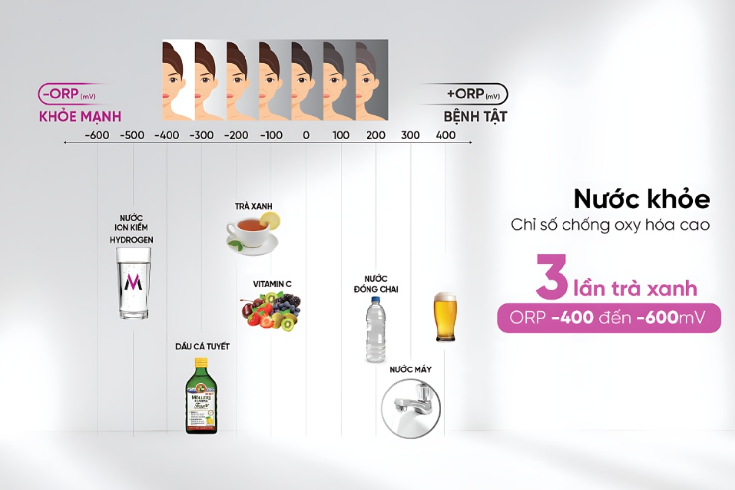 Khả năng chống oxy hóa mạnh mẽ của nước ion kiềm còn giúp củng cố hệ miễn dịch