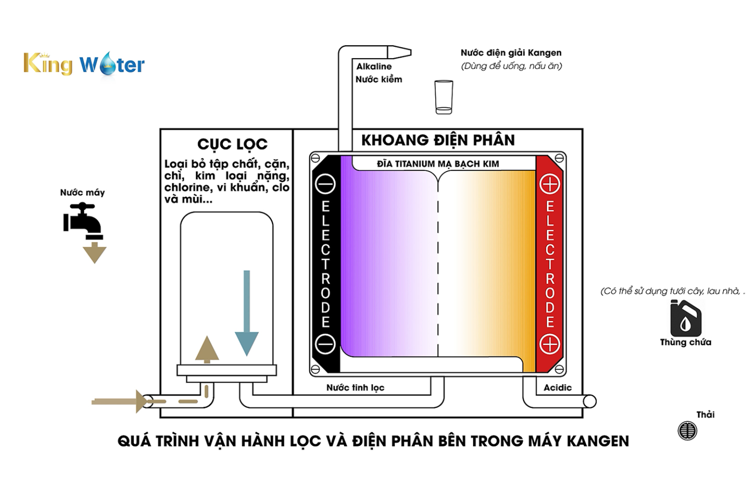Cơ chế hình thành nước điện giải Kangen