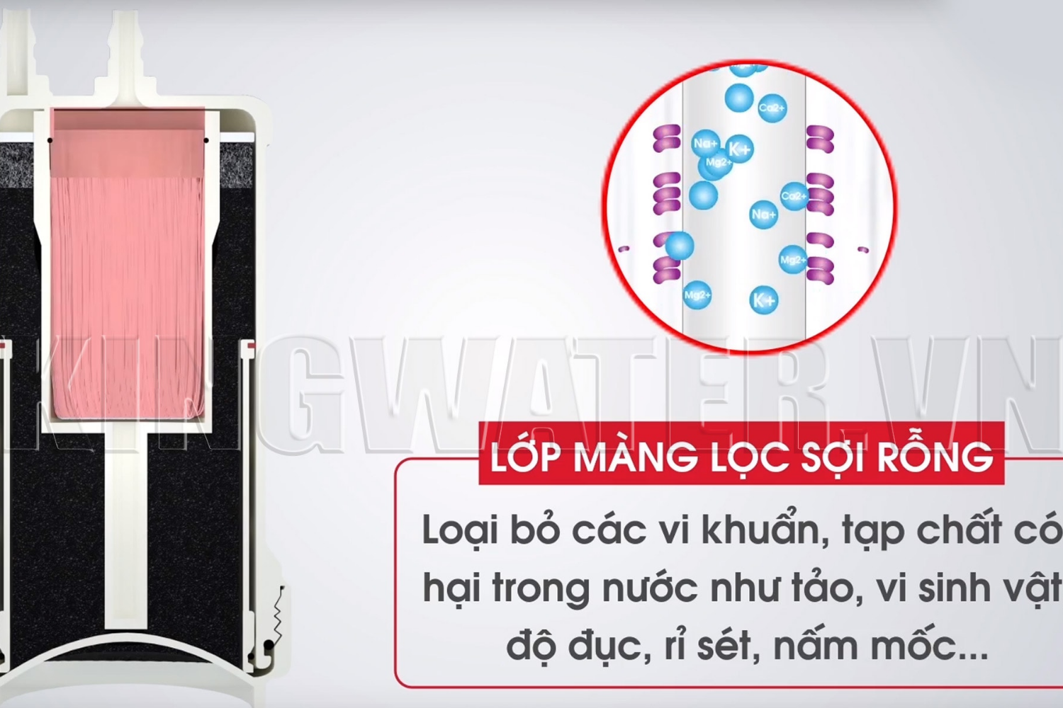 Máy lọc nước Mitshubishi Cleansui EU101 có khả năng loại bỏ hoàn toàn các loại vi khuẩn