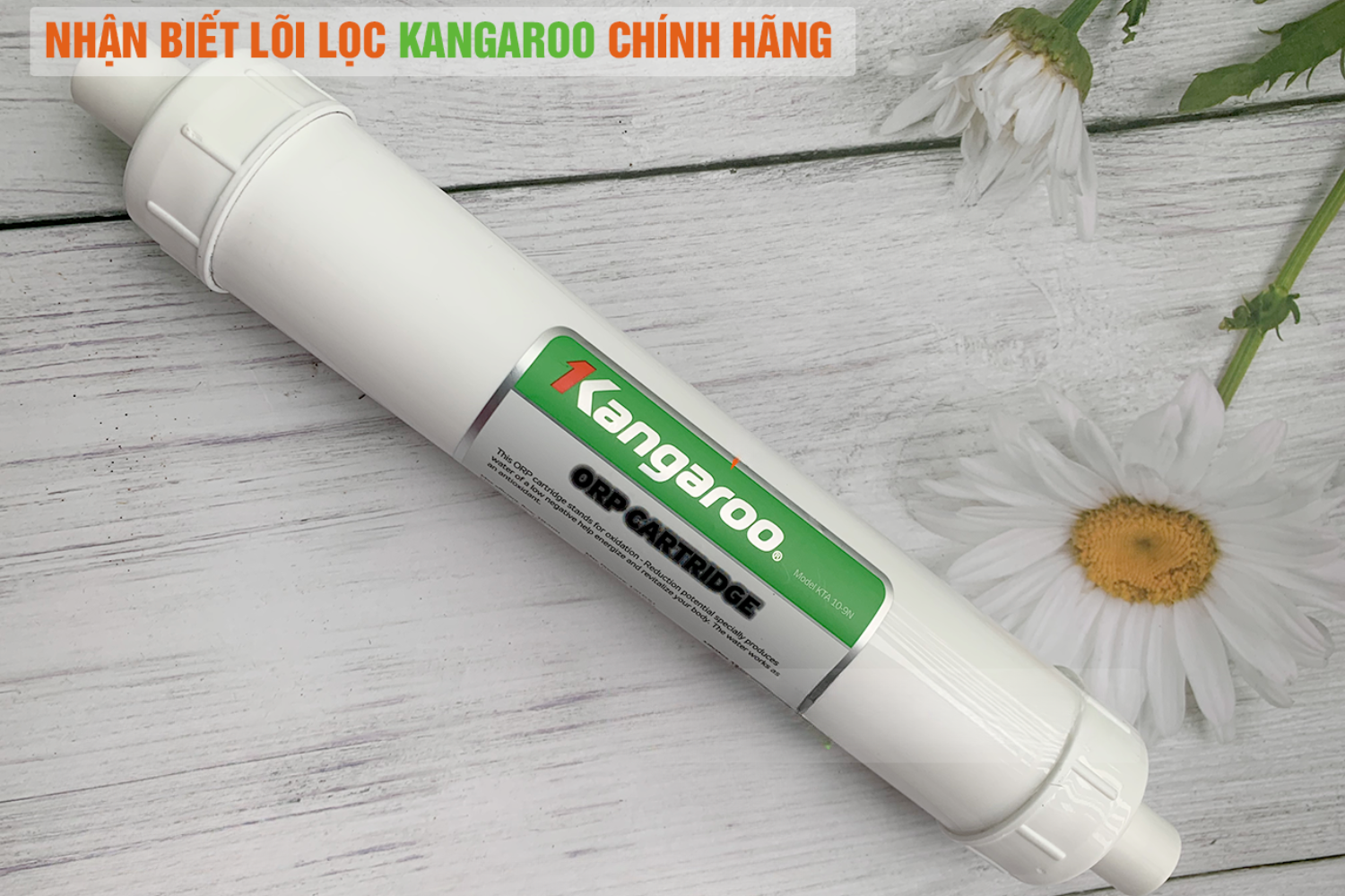 Lõi số 9 – Kangaroo ORP/Hydrogen (Trắng): Chống oxy hóa
